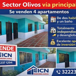 OLIVOS