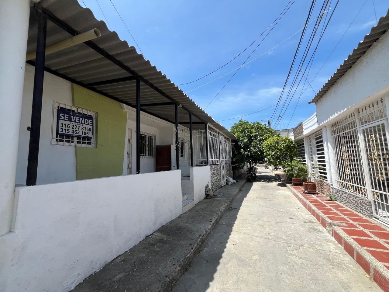 LAS ACACIAS - Imagen 6