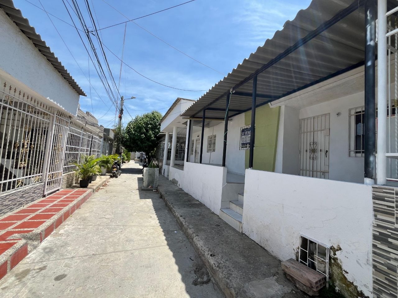 LAS ACACIAS - Imagen 8